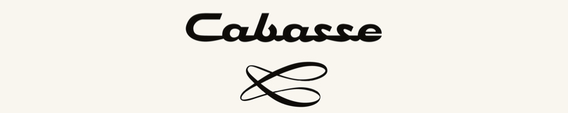 logo8003.JPG