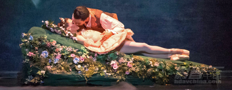 701-sleepingbeauty.JPG
